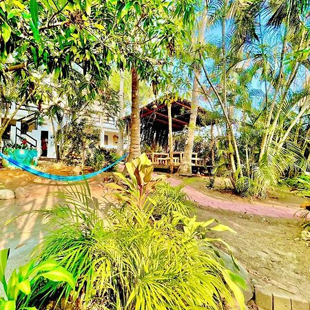 El Eden Escondido Hotel Puerto Escondido  Eksteriør billede